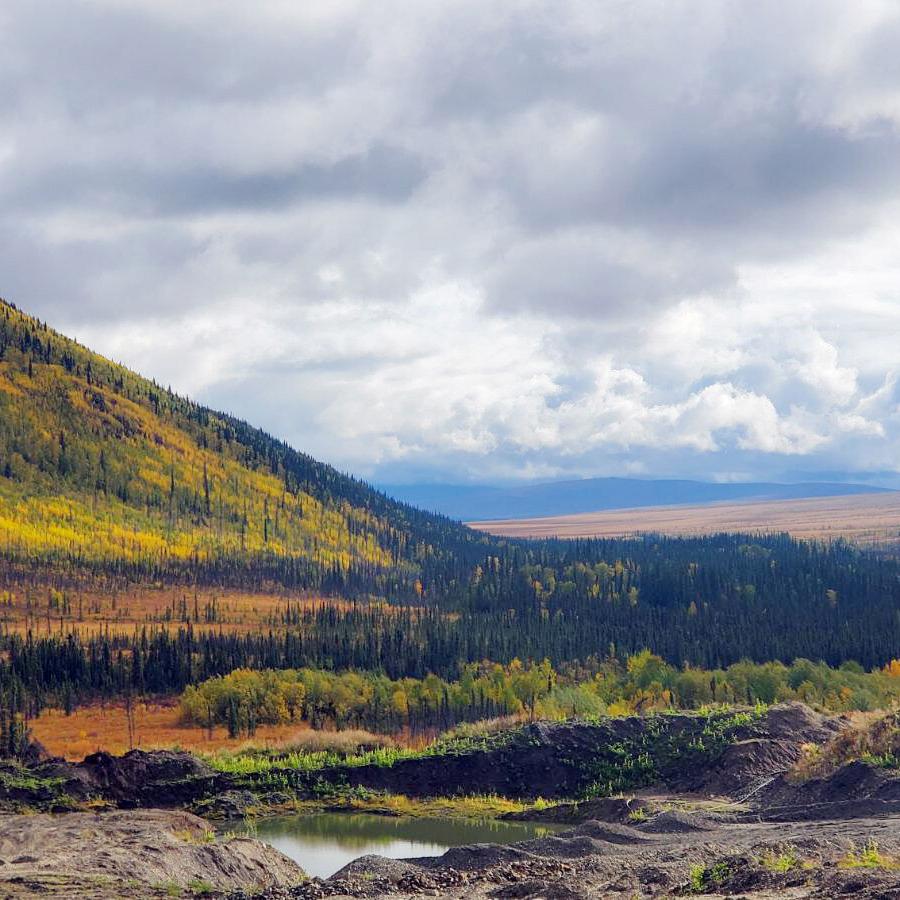Autumn on the Dalton